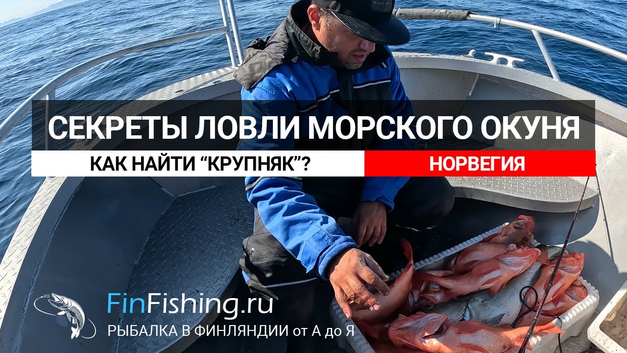 Секреты ловли крупного морского окуня в Норвегии