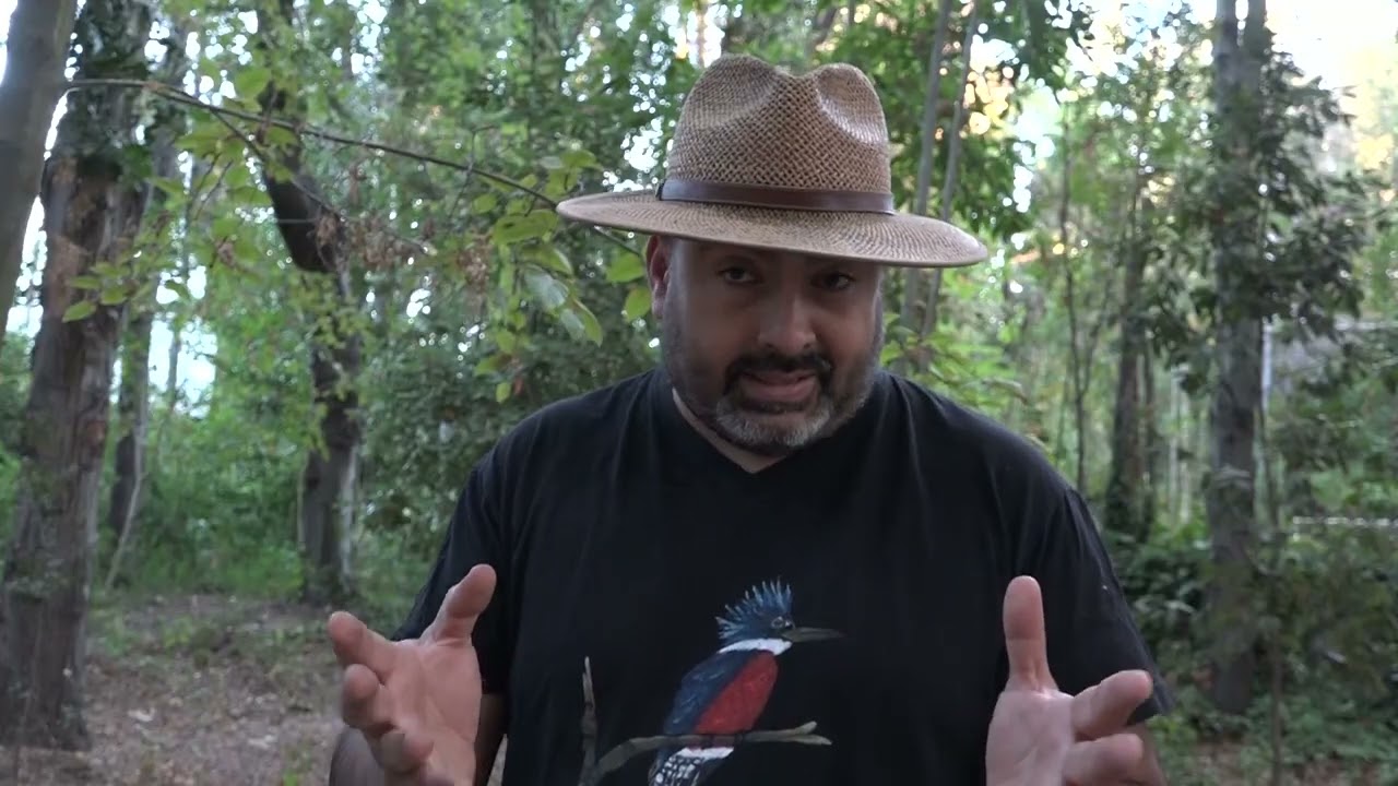 EL RUIL &Aacute;RBOL END&Eacute;MICO DE LA REGI&Oacute;N DEL MAULE