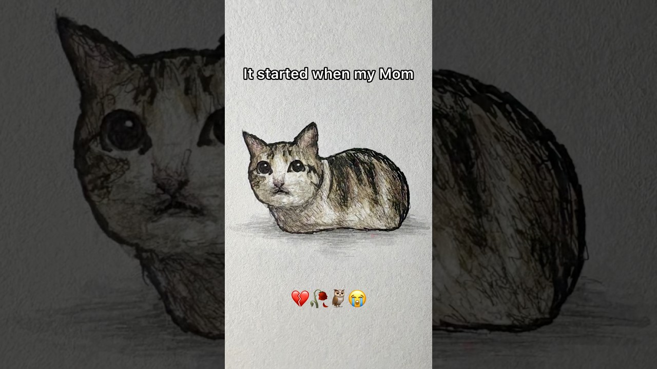 Meowl origin story #art #cat #meme #drawing
