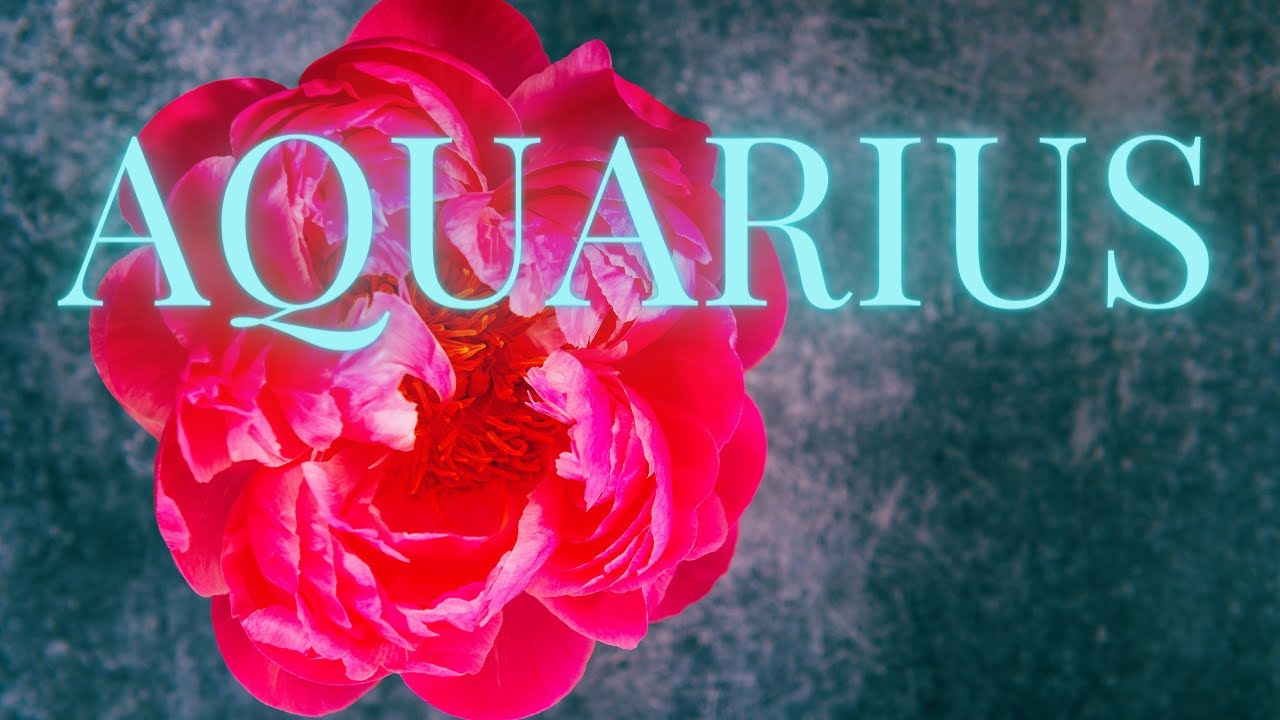 Aquarius returning to your life! 💞⚡Someone who is listening to their intuition about you!