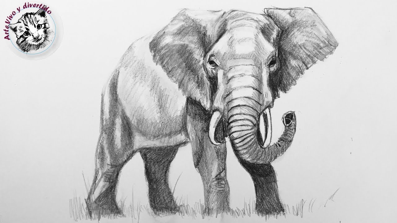 Como Dibujar un Elefante Realista con Lapiz muy Fácil y Paso a Paso