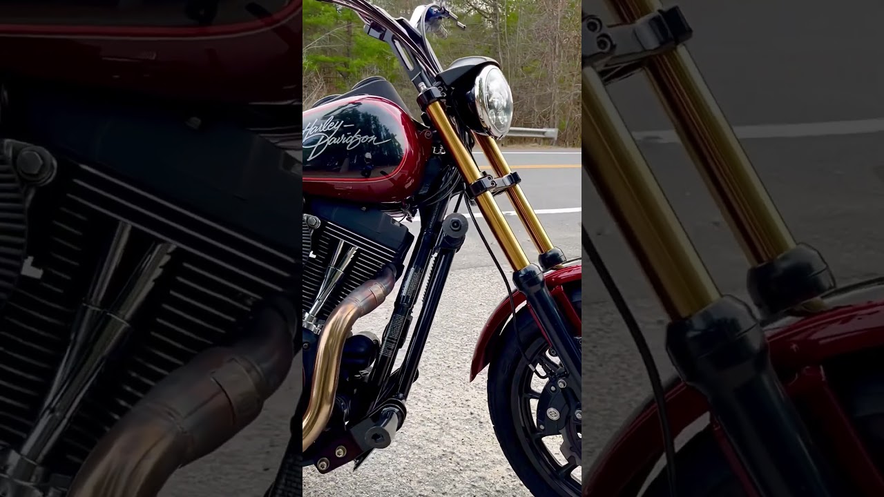 2001 dyna lowrider fxr dyna fxdl fxdx fxdxt Harley Davidson wheelie donut stunts rider dirtbike