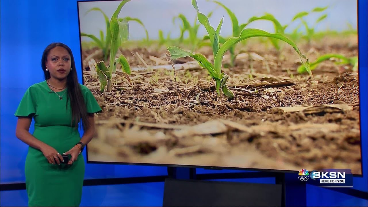 Kansas plans water cuts to protect Ogallala aquifer's future