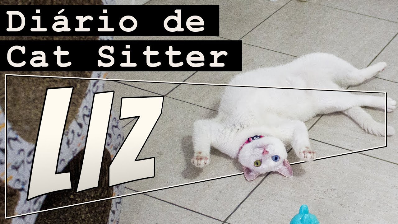 LIZ: Um Ano Depois | Diário da CAT SITTER