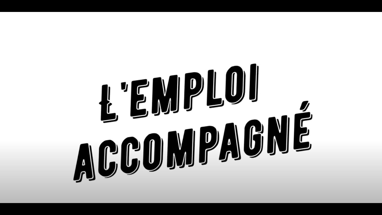 Le dispositif emploi accompagné (DEA)