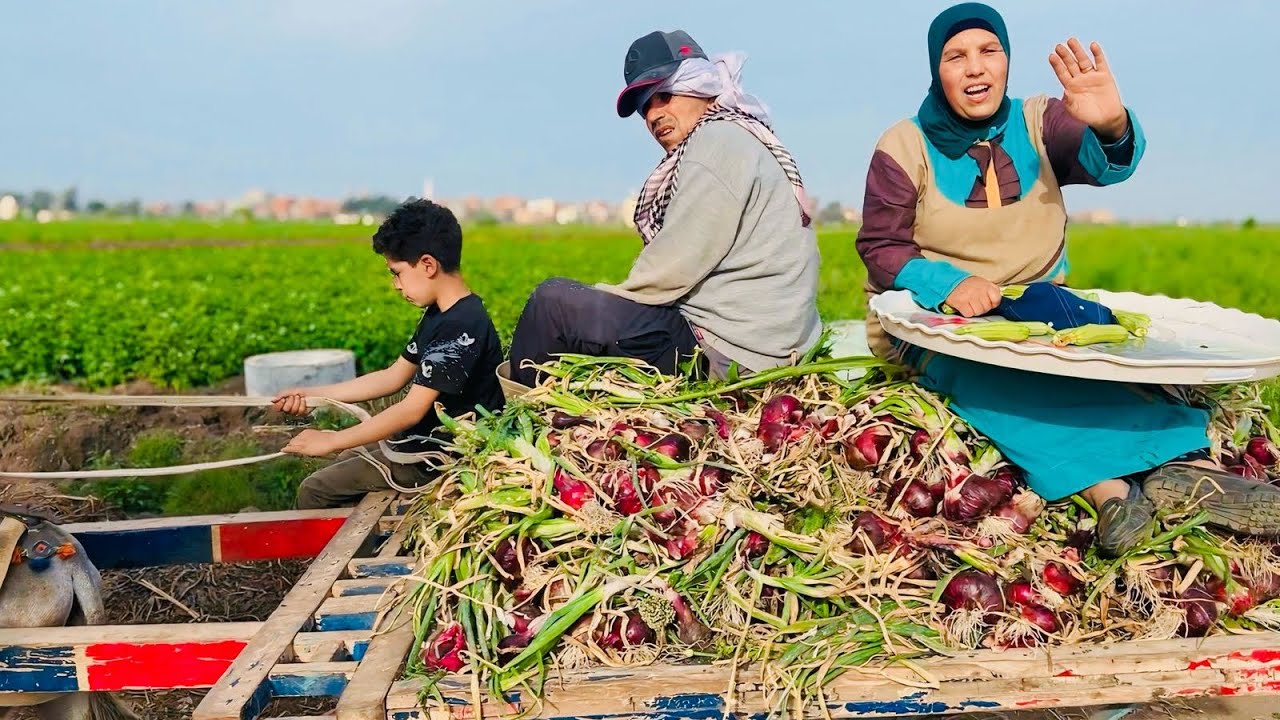 زرعت بالغالي❤️وشقيت وتعبت ‍‍⚡ وجاي تبيع بالرخيص؟! فين حق تعبنا يابو طارق😭