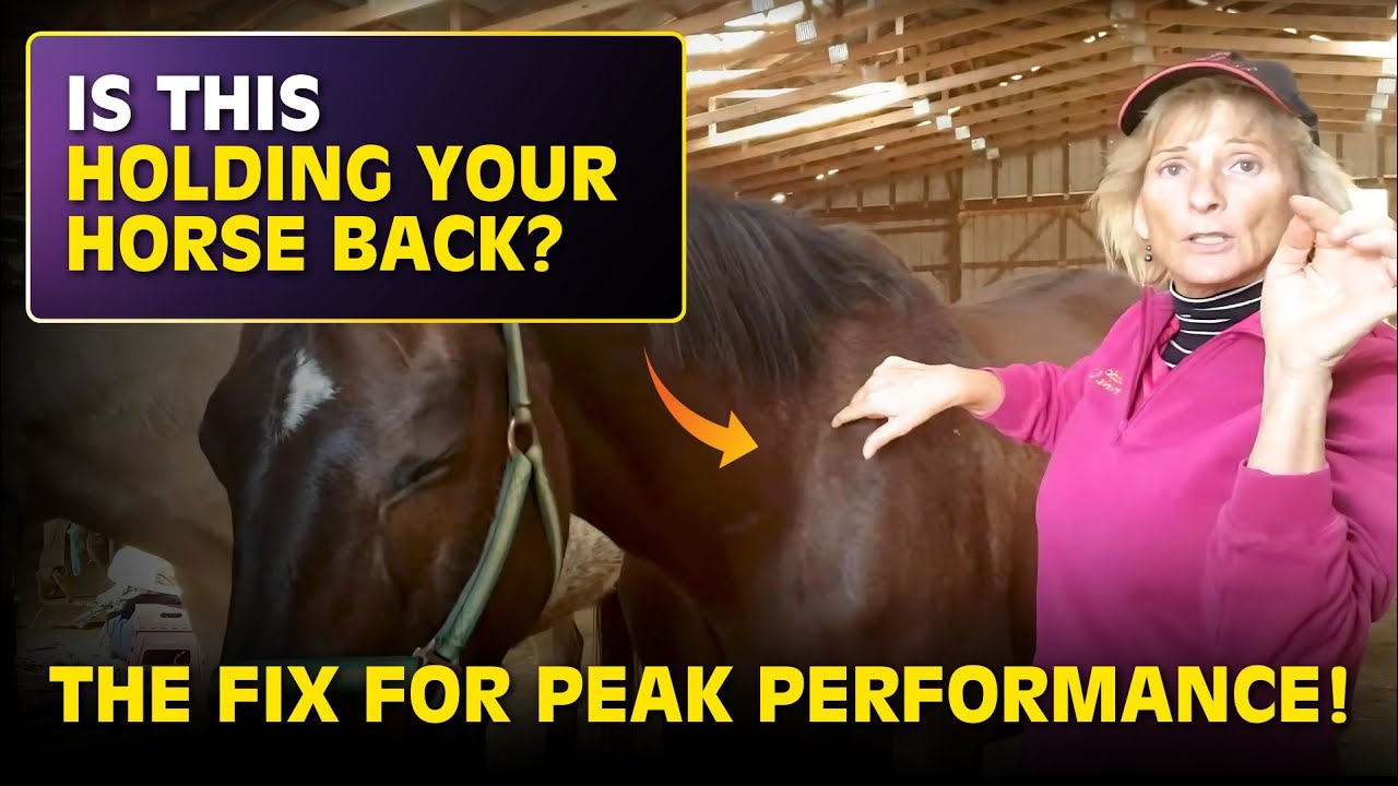 Is Your Horse's First Rib Misaligned? || The Hidden Key to Better Performance and Mobility