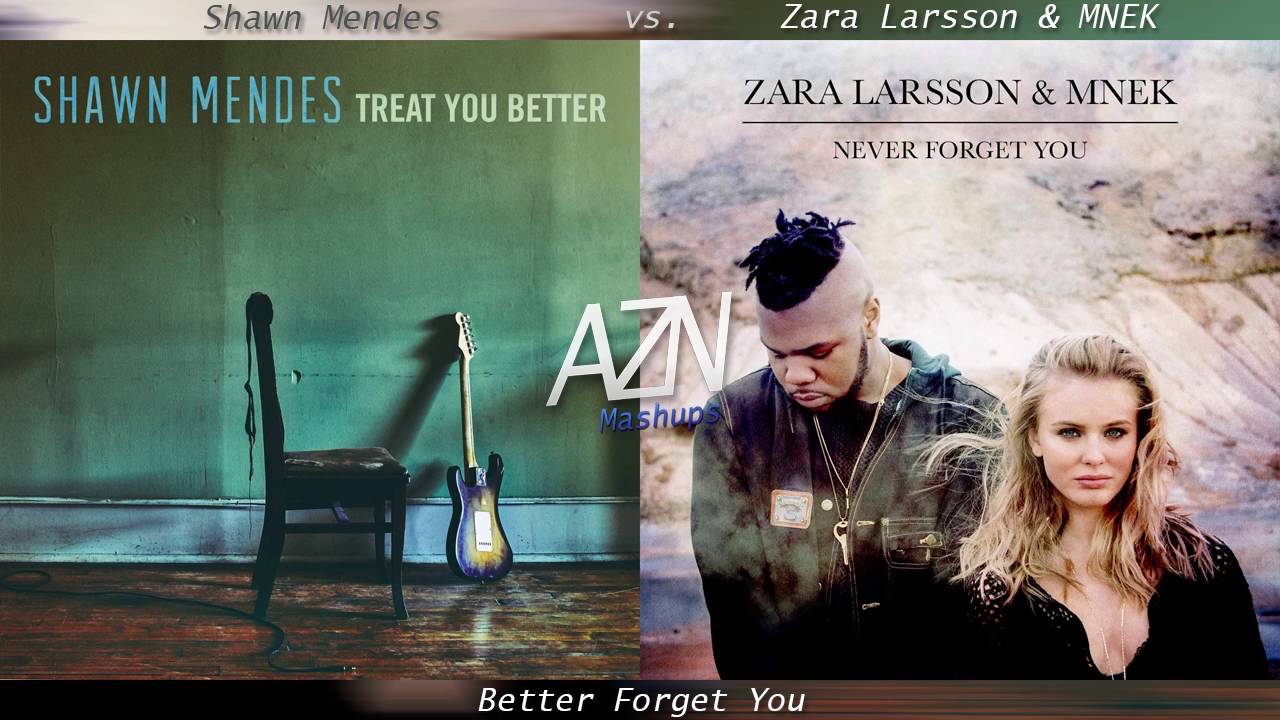 Better Forget You - Shawn Mendes vs. Zara Larsson & MNEK (Mashup)