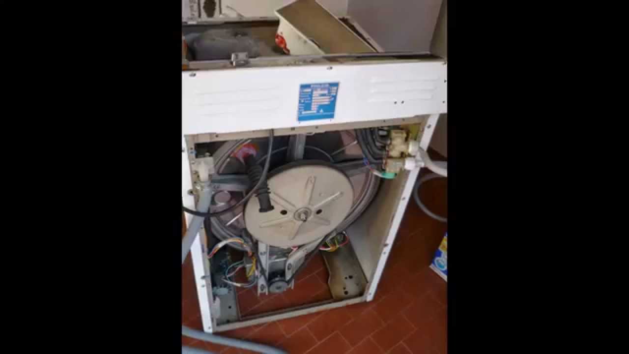 Le dive di Philadelphia