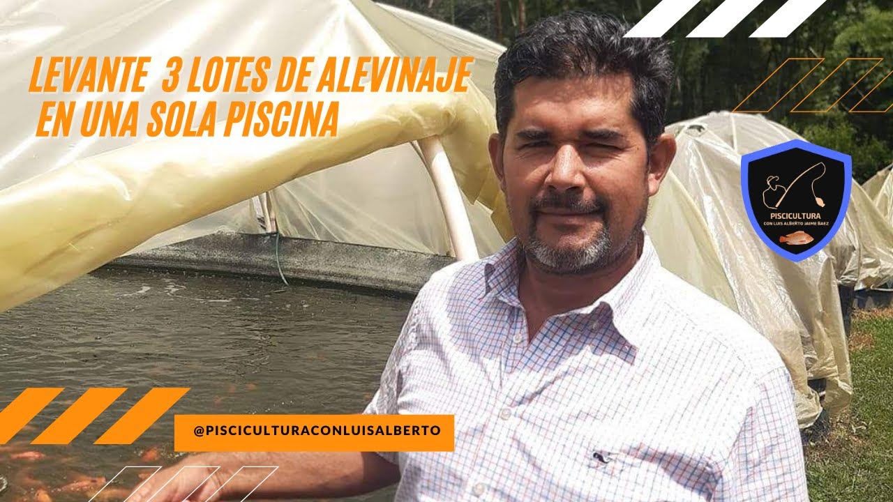 Como sacar cuatro cosechas de peces en el año en un tanque - Piscicultura con Luis Alberto