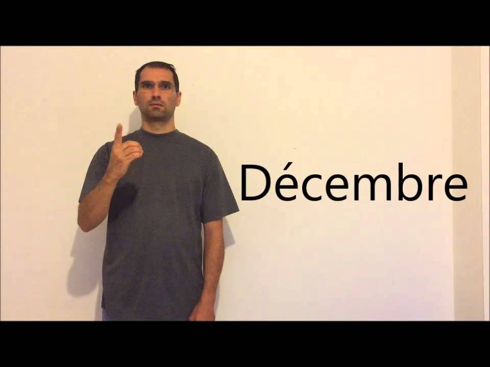 8. Les mois de l'année + vocabulaire
