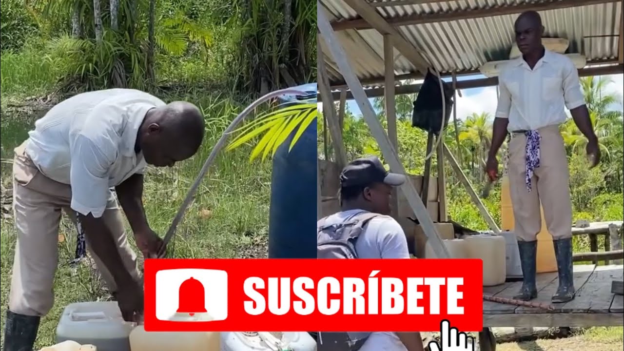 Don Harvey se avispó #viralvideo #humor #comedia