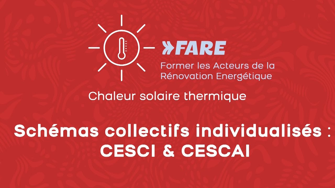Schémas collectifs individualisés : CESCI et CESCAI