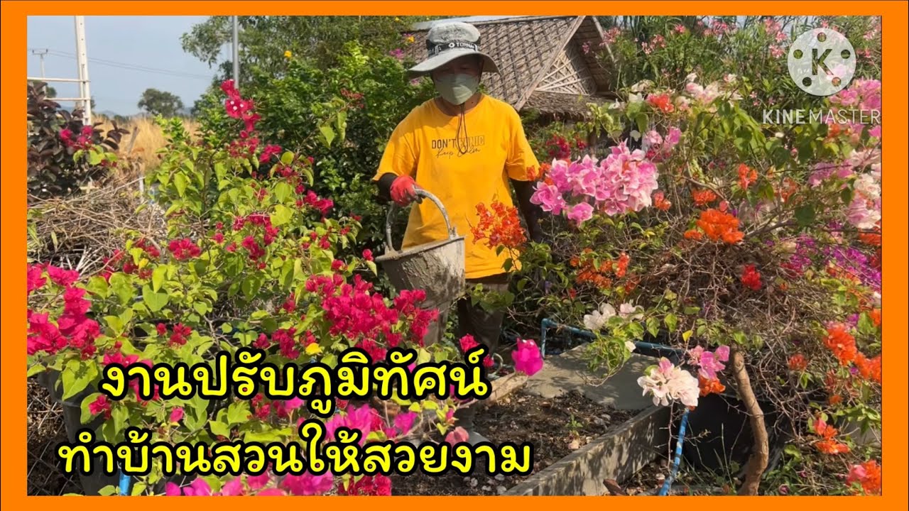 งานปรับภูมิทัศน์ ทำบ้านสวนให้สวยงาม🪴🪴🪴