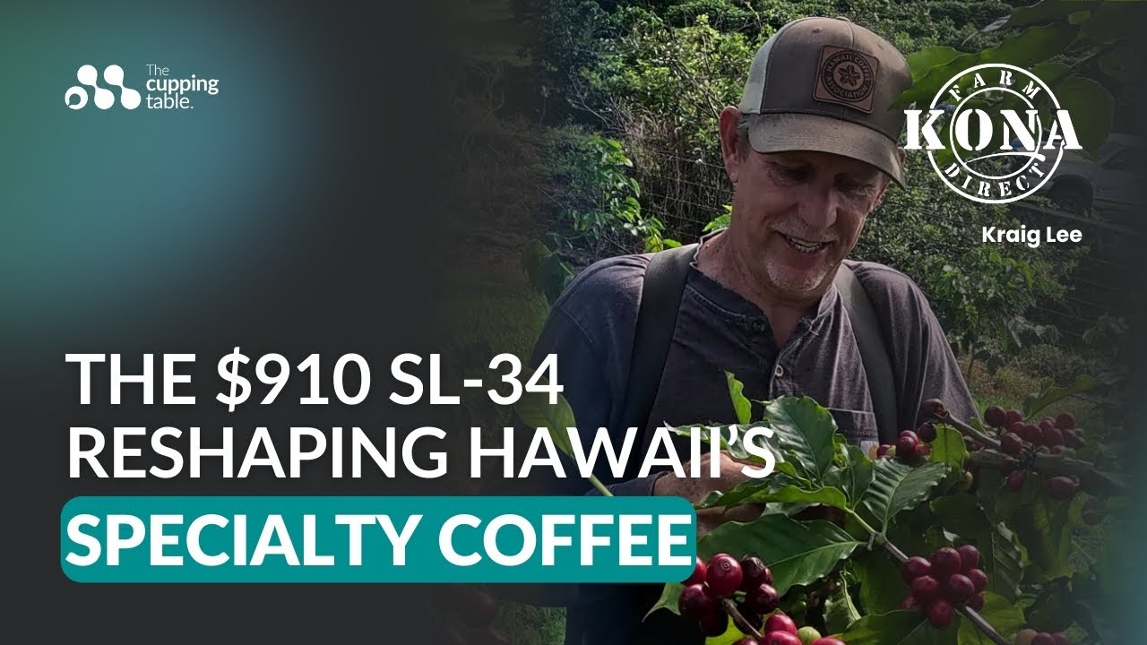 Kona Farm Direct | The $910 SL-34 That Is Reshaping Hawaii's Specialty Coffee
