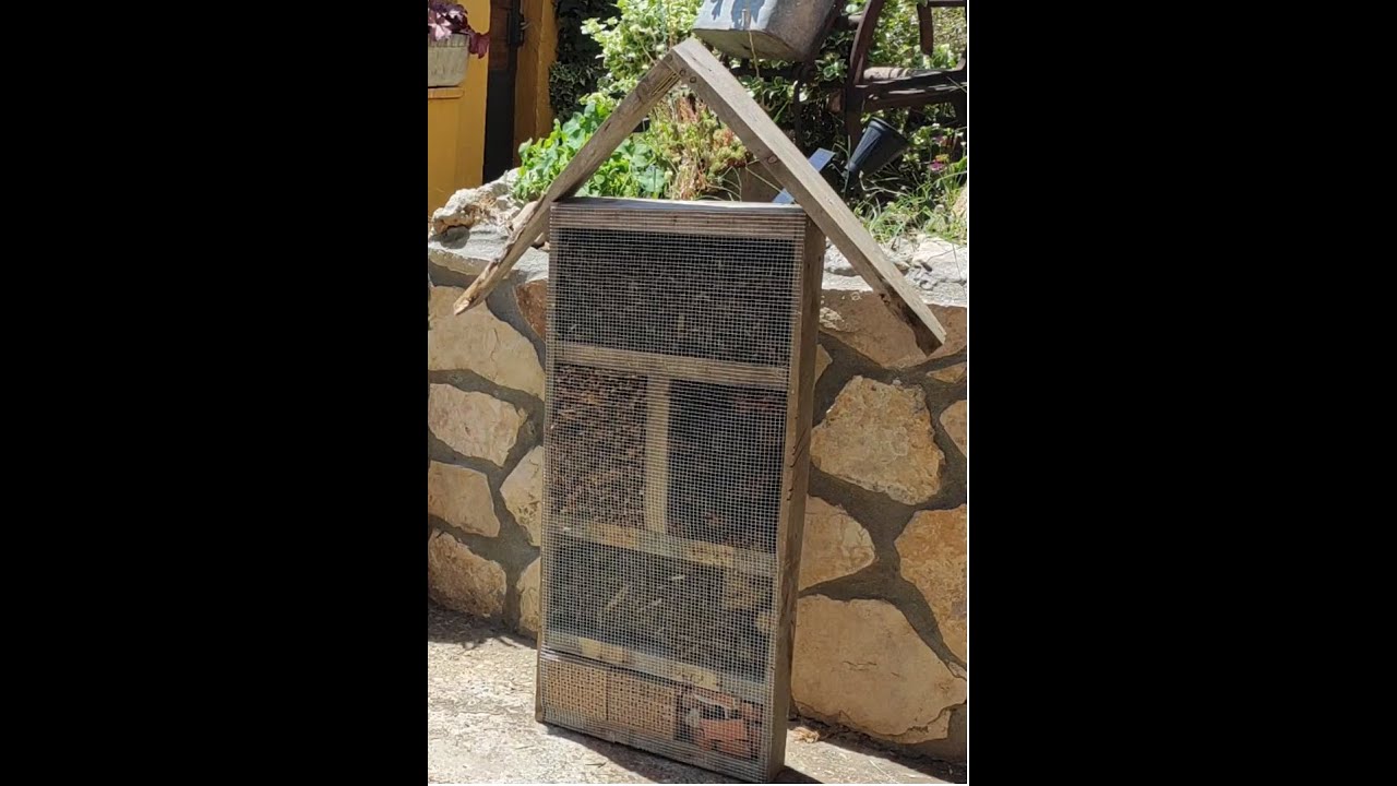 Cómo hacer un hotel de insectos y para qué sirve
