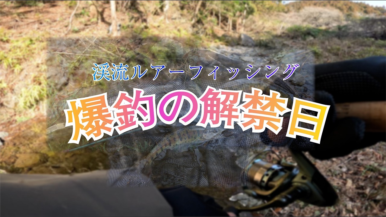 【渓流ルアーフィッシング】爆釣の解禁日