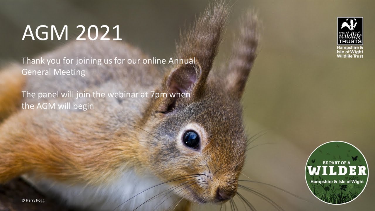 AGM 2021