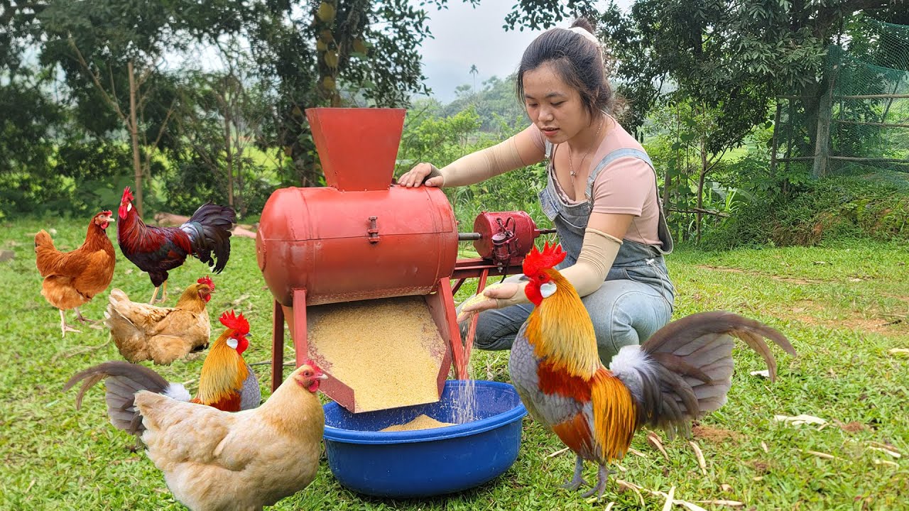 Good Deeds Corner: Helping a Farmer Build a Corn Grinder for Poultry | DIY