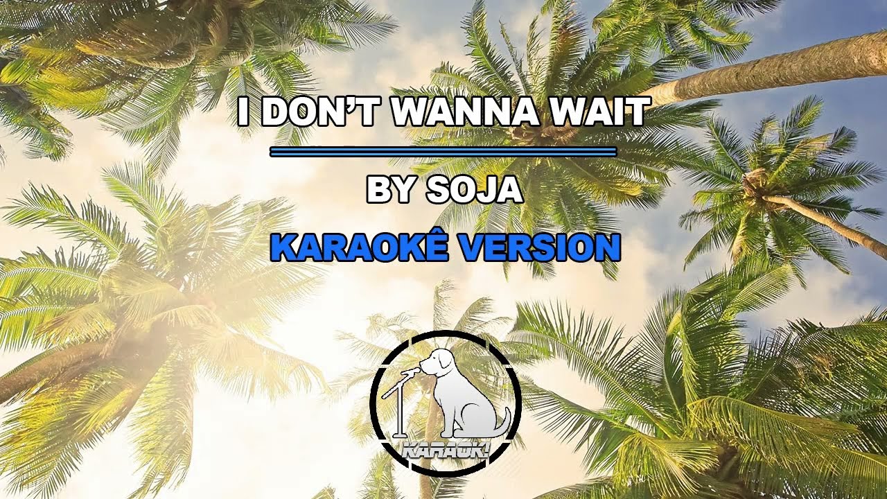 I Don't Wanna Wait - SOJA (Karaokê Version)
