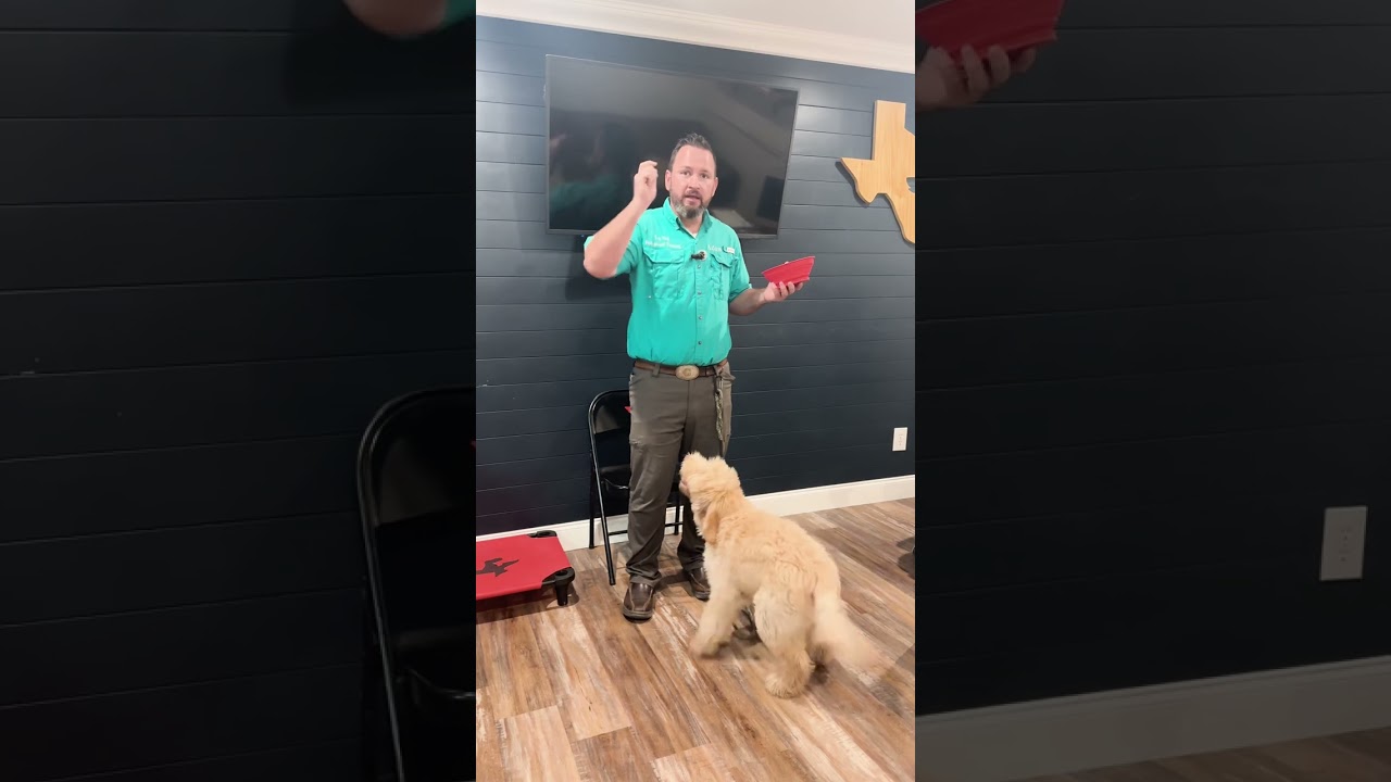 Diabetic Alert Dog Training: Scent Imprinting 