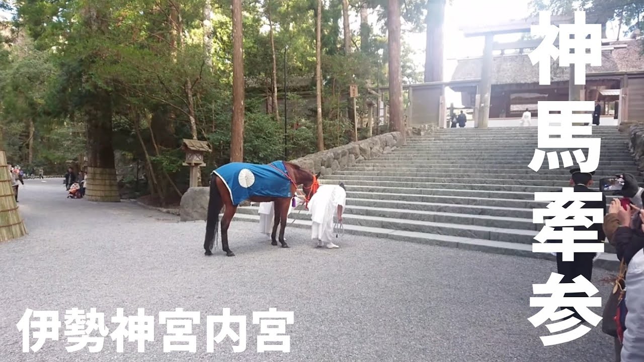 【ショート3万再生の本編】伊勢神宮内宮の神馬牽参(しんめけんざん) #内宮 #伊勢神宮 #朔日餅 #儀式 