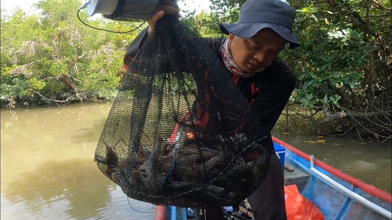 KETIKA ARUS BERUBAH SERBUAN UDANG GALAH BIKIN KUALAHAN 