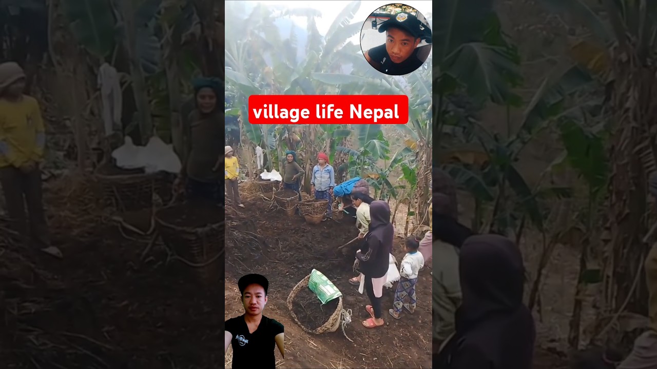 Beautiful Nepali Mountain Village Simple Happy Lifestyle | Rural Nepal Quest | Nepali Village Life