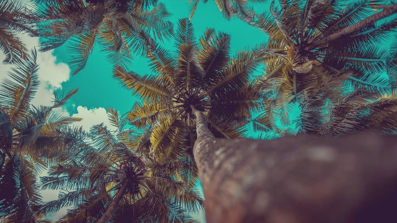dancehall riddim instrumental 2019 - 