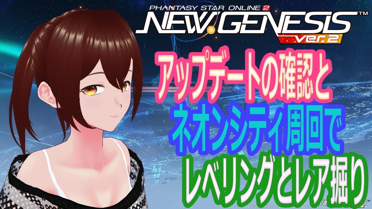【PSO2NGS】アプデ確認とネオンシティ周回でレベリング【ship4、10】