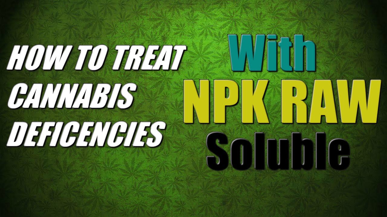How To Treat Marijuana Deficencies with NPK RAW