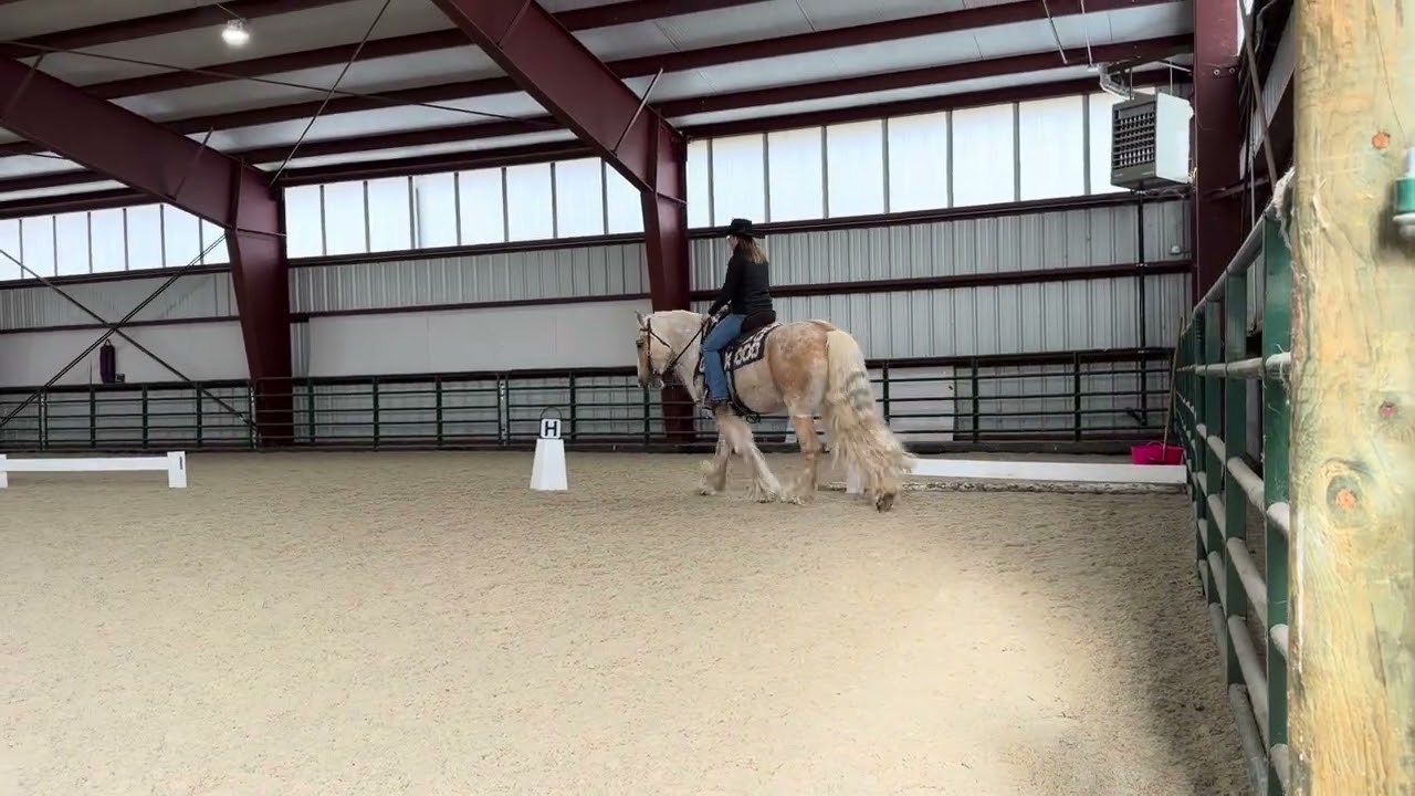 CAWDA Snowflake Horse Show #6380 GRH Sweet Time Lizzy Tierra Osborne 