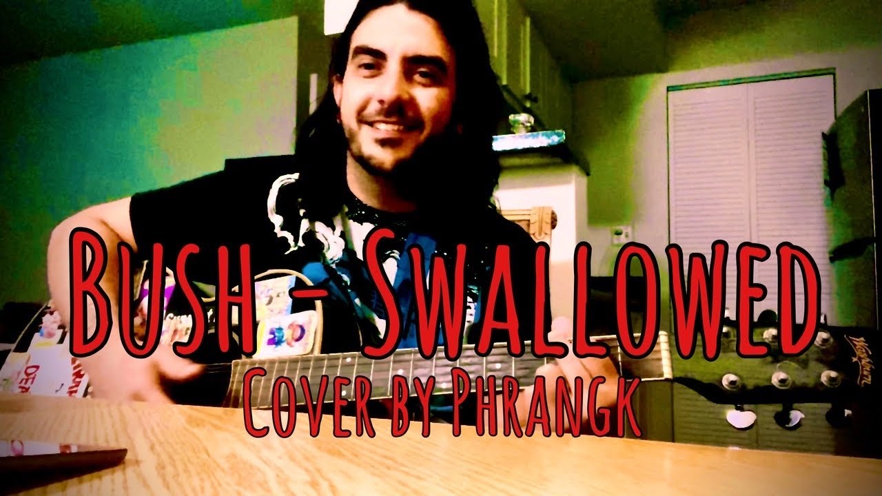 Swallowed - Bush acoustic cover
