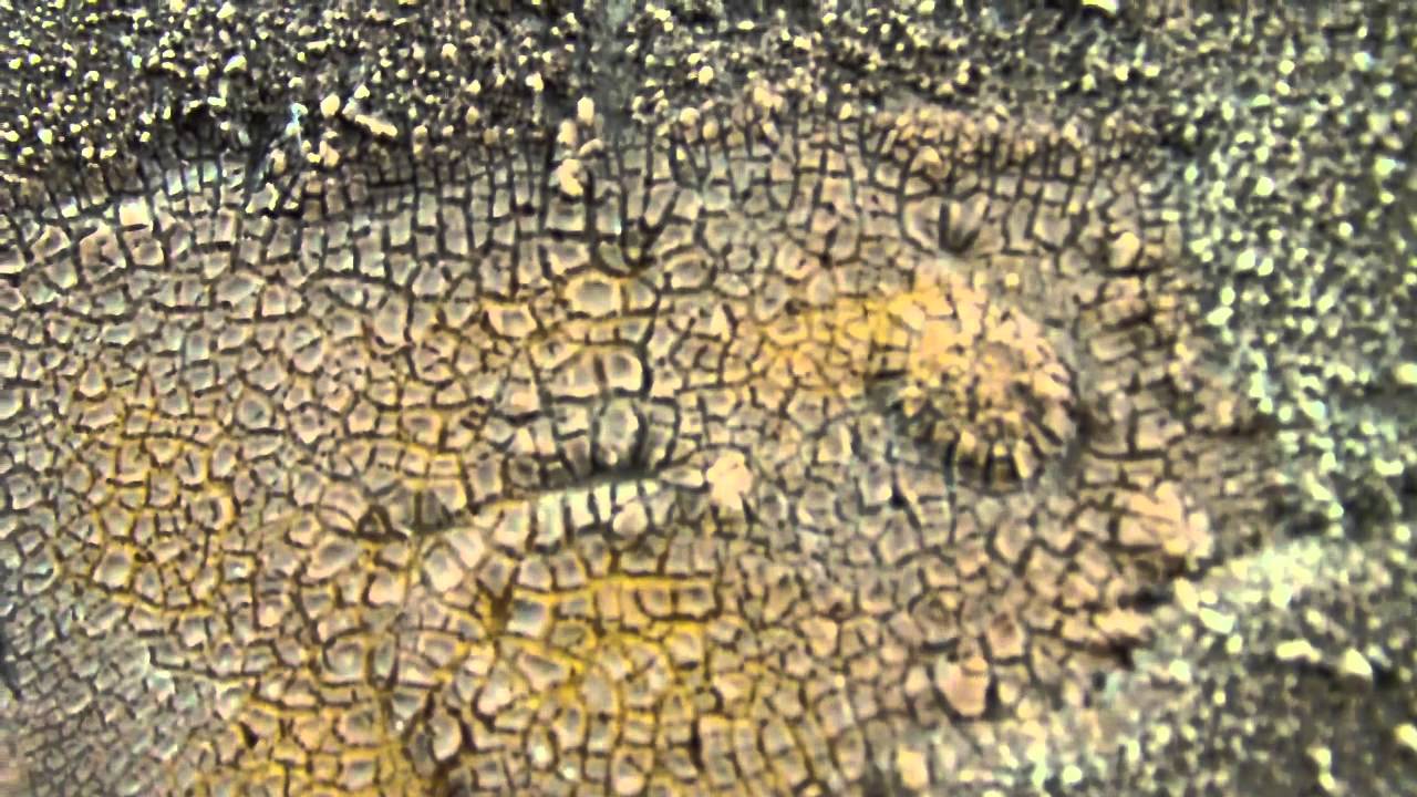 TerranScapes - Large Mesa and Kroma Crackle dried mud effects