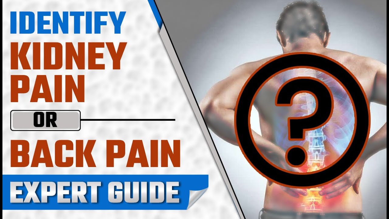 Identify Back Pain or Kidney Pain - Expert Guide