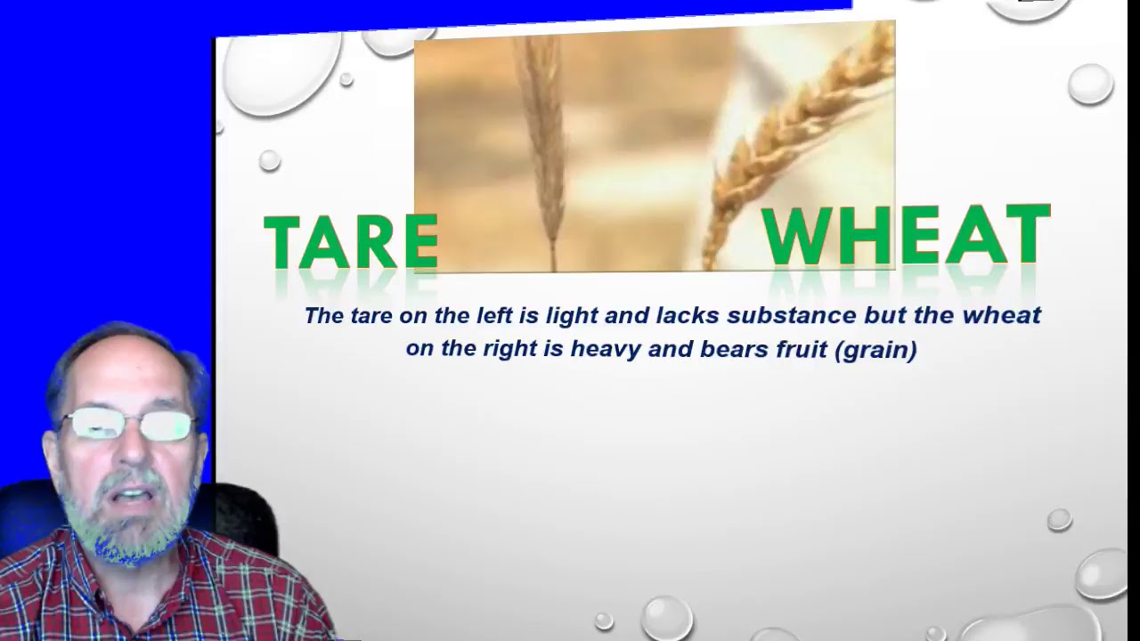 MessiAntics:  The Difference Between Wheat And Tares