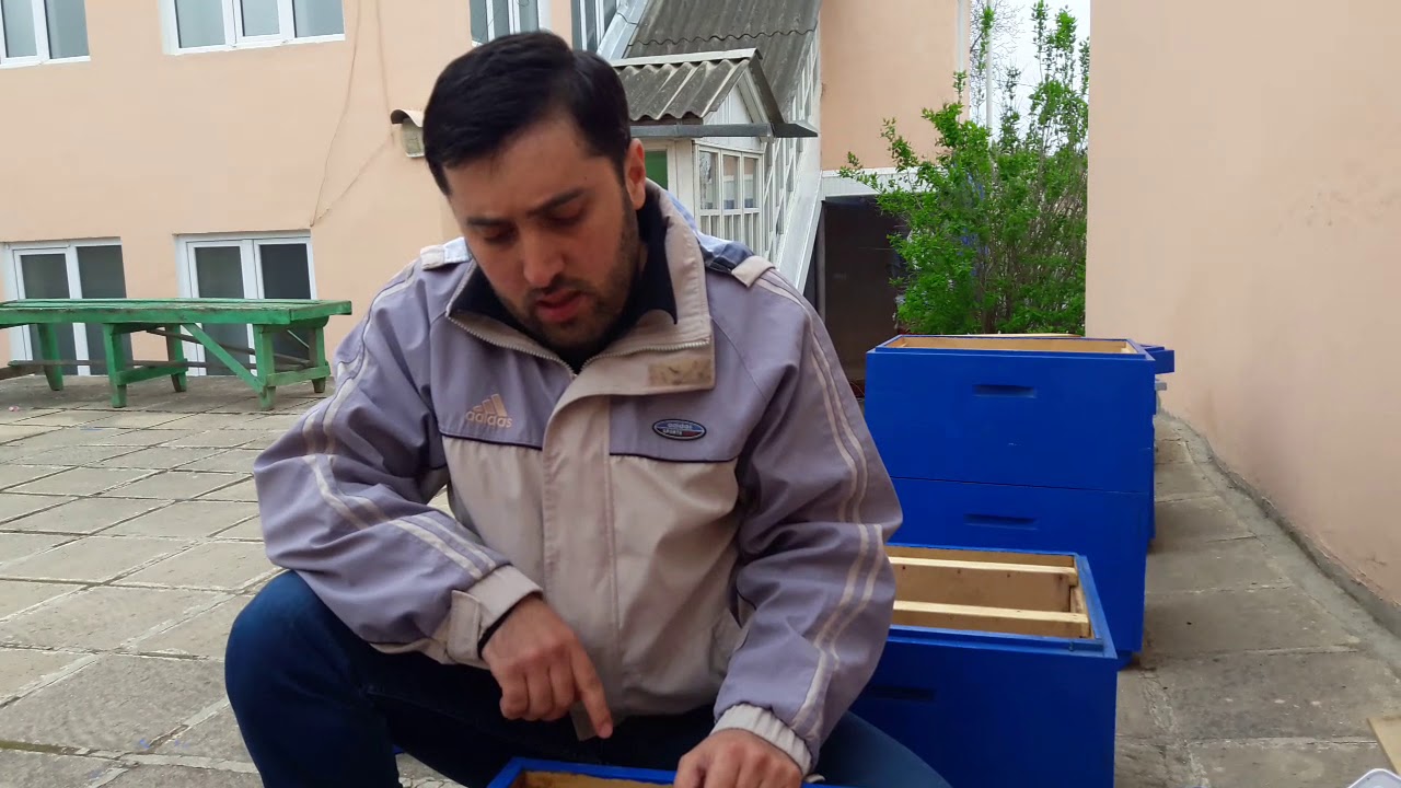 Arı yeşikləri yeni model