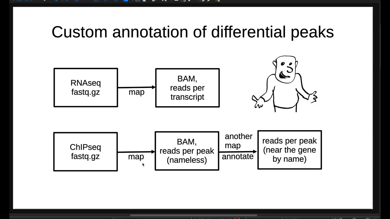 Custom annotation in ChIPpeakAnno