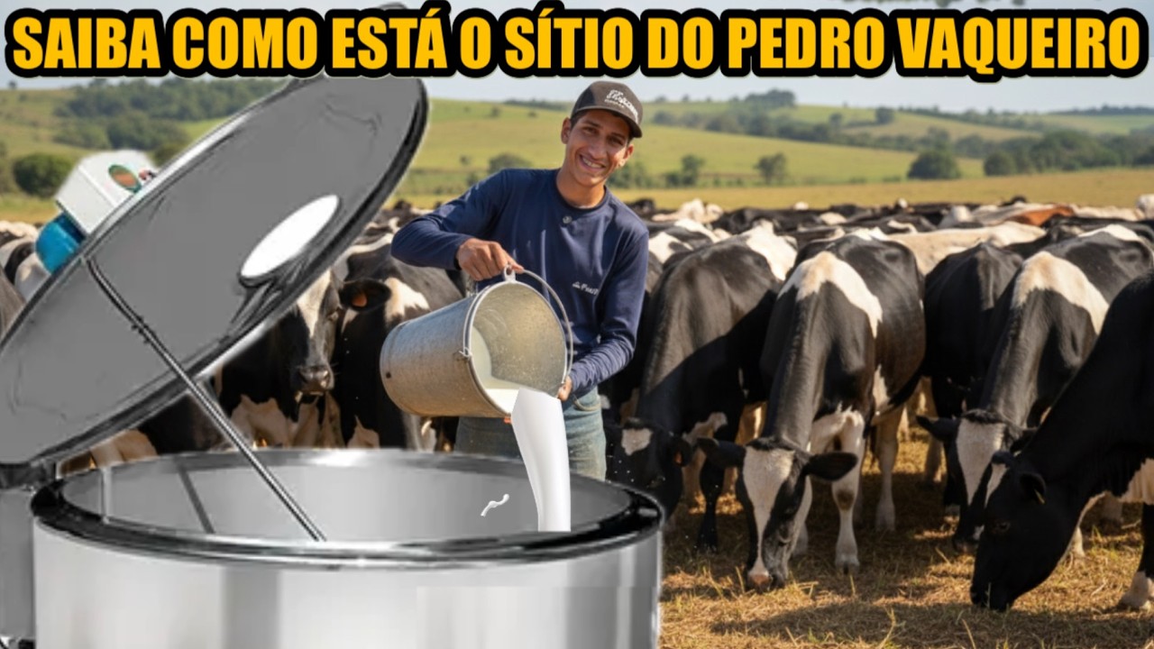 A PRODUÇÃO DE LEITE  DO PEDRO