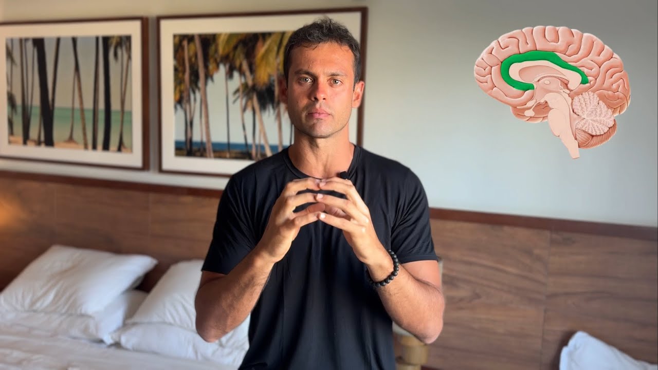 COMO RESETAR SEU C&Eacute;REBRO PARA O SUCESSO E DESTRUIR PENSAMENTOS NEGATIVOS