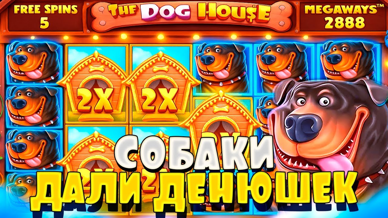 THE DOG HOUSE X1000 ЕСТЬ! МОЖНО ЖИТЬ! ЗАНОСЫ НЕДЕЛИ