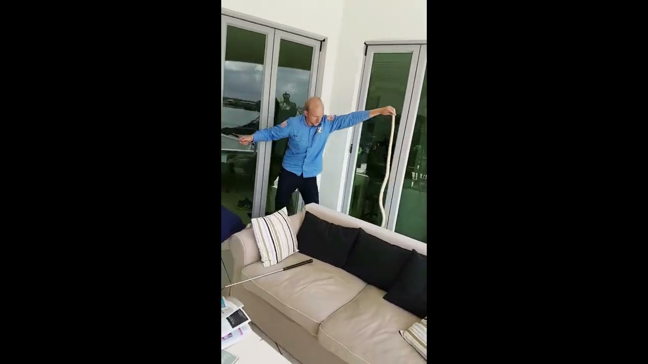Snake Catcher Close Calls! 😮
