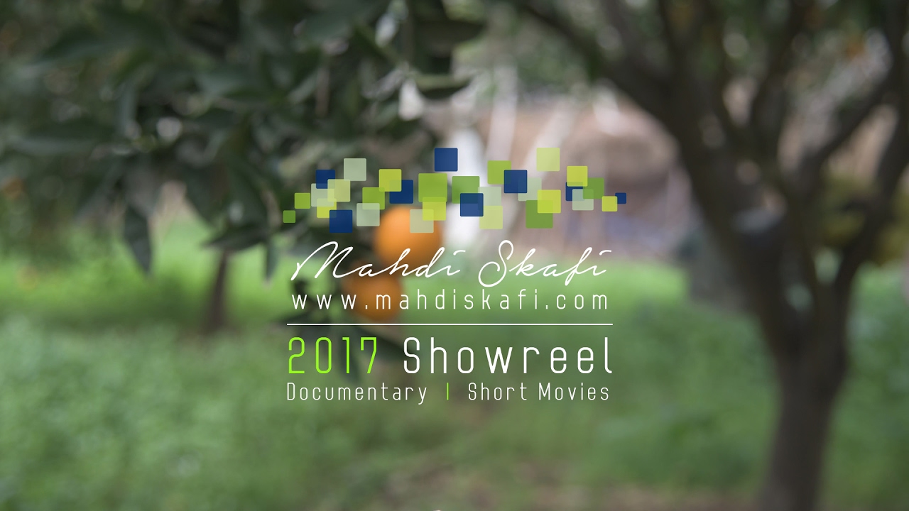 Mahdi Skafi Show-reel 2017