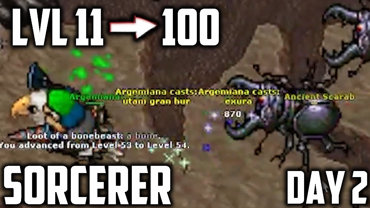 Sorcerer: From LVL 14 to 100 in 6 DAYS - Part 2 (Day 2)