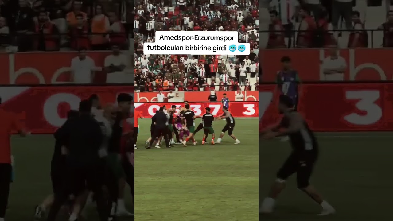 Amedspor-Erzurumspor kavga...         #trib&uuml;n #amedspor #erzurumspor #amed #erzurum #keşfet