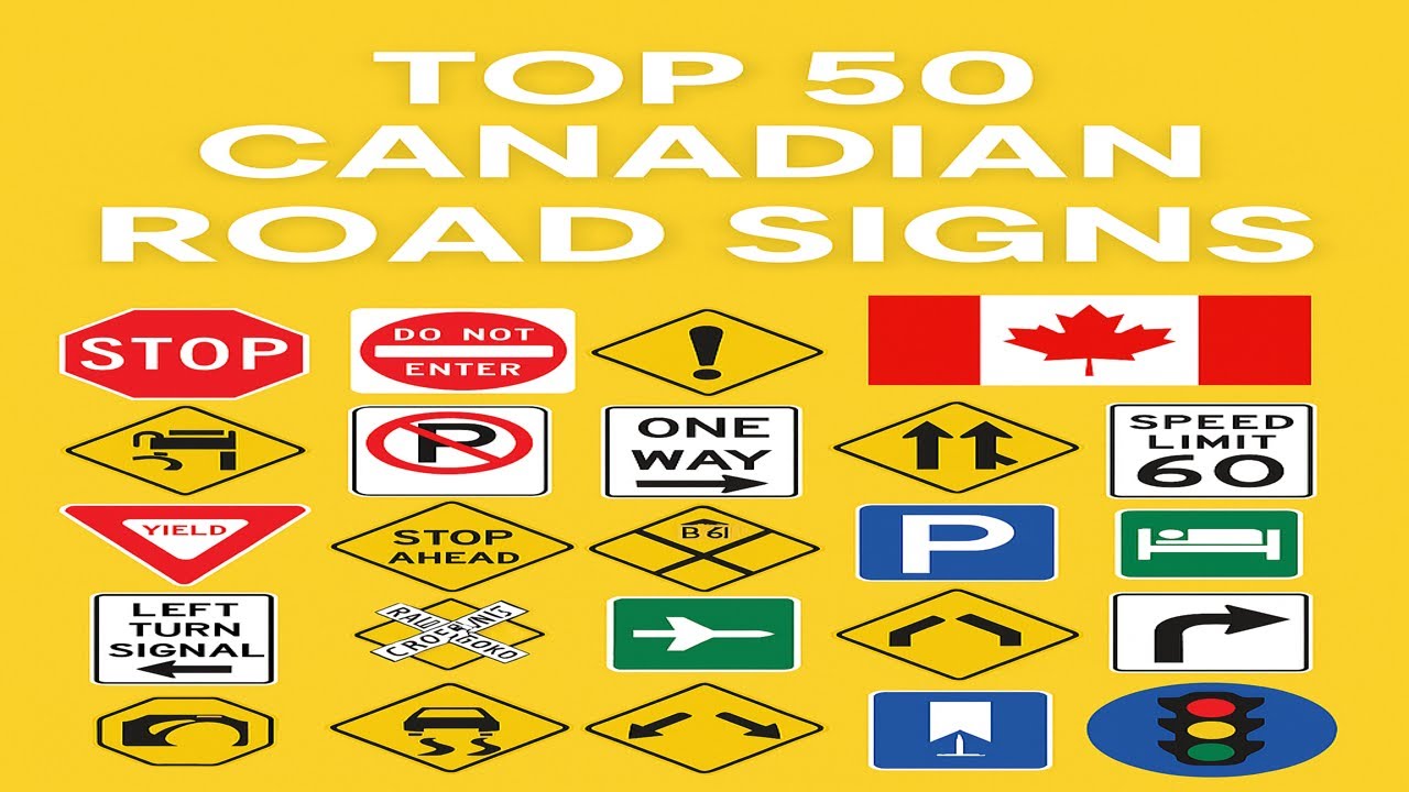 Top 50 Canadian Road Signs Every Driver Should Recognize 🚦🇨🇦