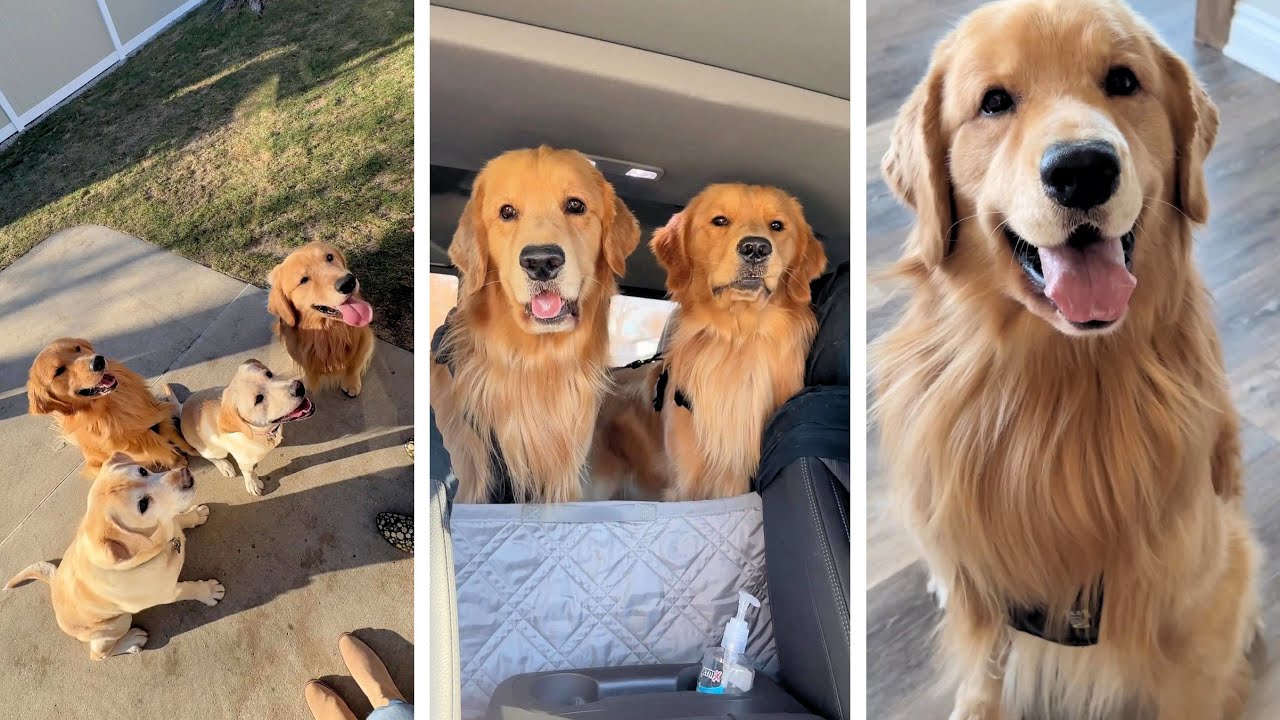 A Surprise Trip!