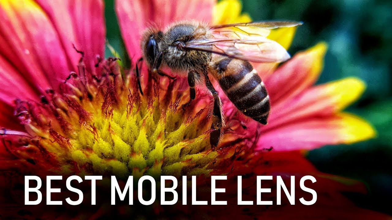 BEST Mobile Camera MACRO & WIDE ANGLE Lens: SKYVIK Signi Pro 2 in 1 (GIVEAWAY)