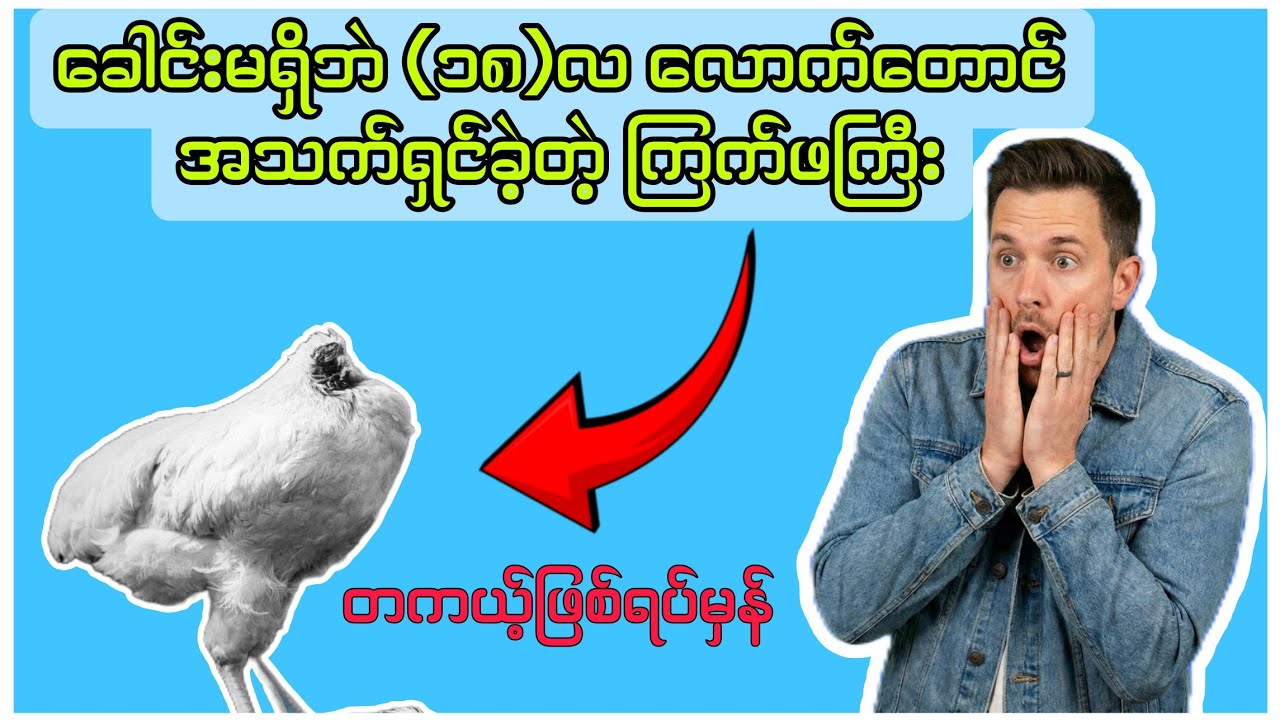 ခေါင်းမရှိဘဲ အသက်ရှင်ခဲ့တဲ့ကြက်ဖကြီး Mike (တကယ့်ဖြစ်ရပ်မှန်)| The True Story of the Headless Chicken