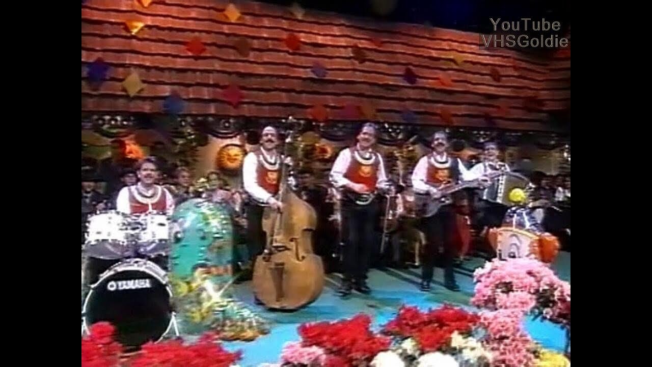 Zellberg Buam und Freunde - Im Augenblick hab'n wir a Riesenglück - 2003